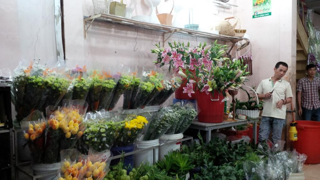 Shop Hoa Tâm Huy Shop Hoa Tâm Huy - Dalat News