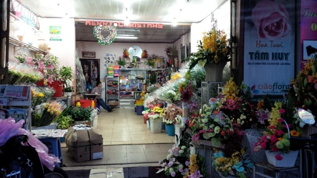 Shop Hoa Tâm Huy - Dalat News Shop Hoa Tâm Huy - Dalat News