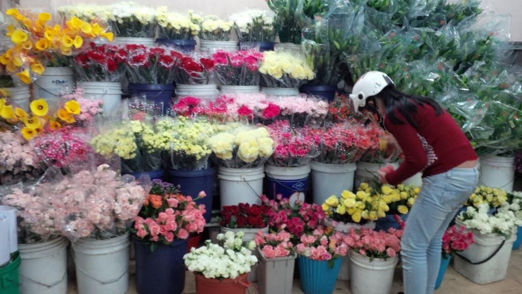 Shop Hoa Tâm Huy Shop Hoa Tâm Huy - Dalat News