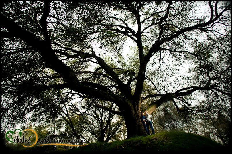 Linden CA Wedding Engagement