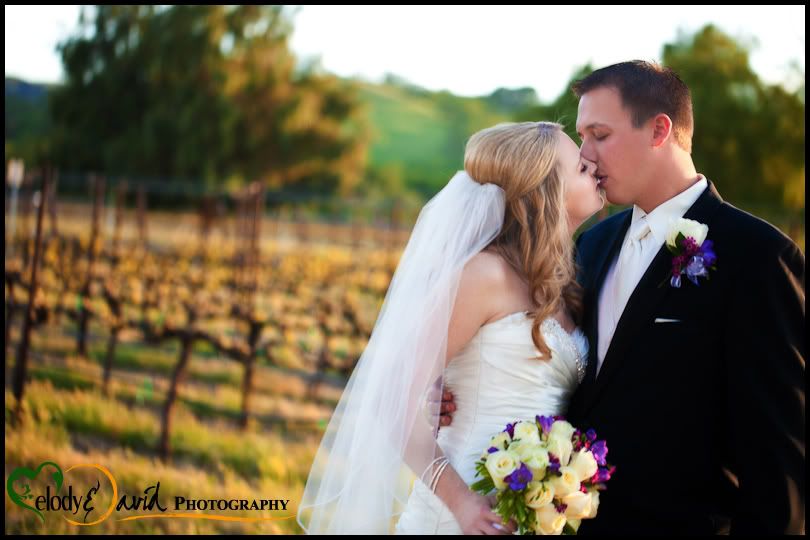 Pleasanton Wedding Palm Event Center