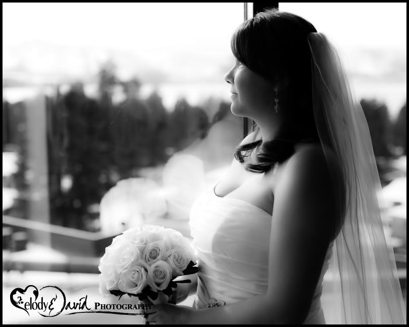 Tahoe NV Wedding