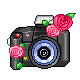 AMD_962_0190301.gif camera image by PixKaruumi