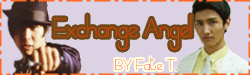 Exchange Angel By Fate T.