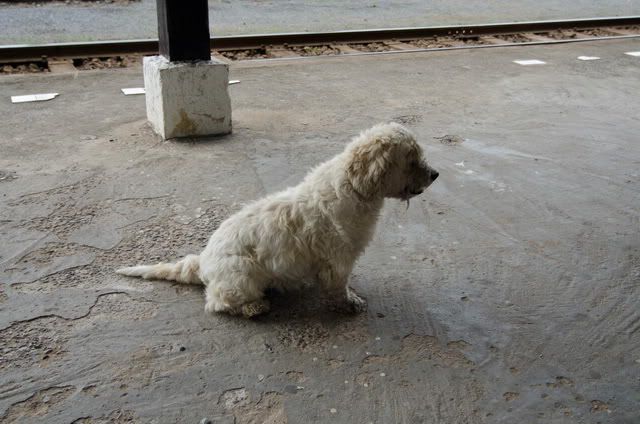 Click on the image for full size