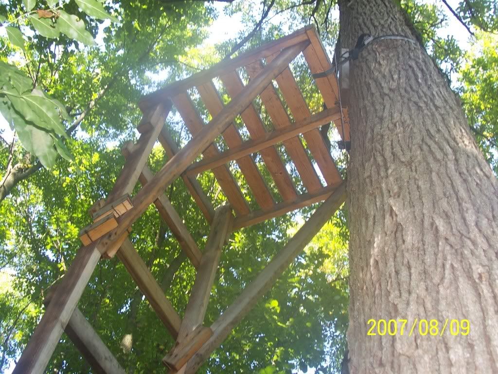 Plans for building a ladder stand????.