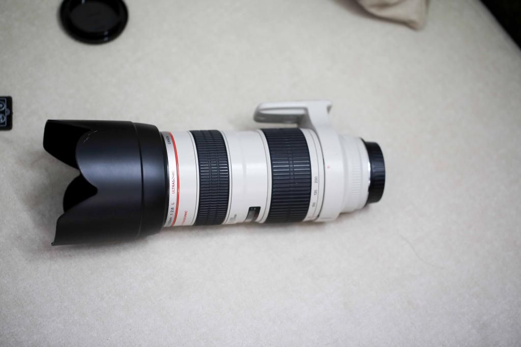 body và lens canon nikon cập nhật thường xuyên: 1D,5D,7D,60d, d700, d5100,d3100 v.v.. - 6