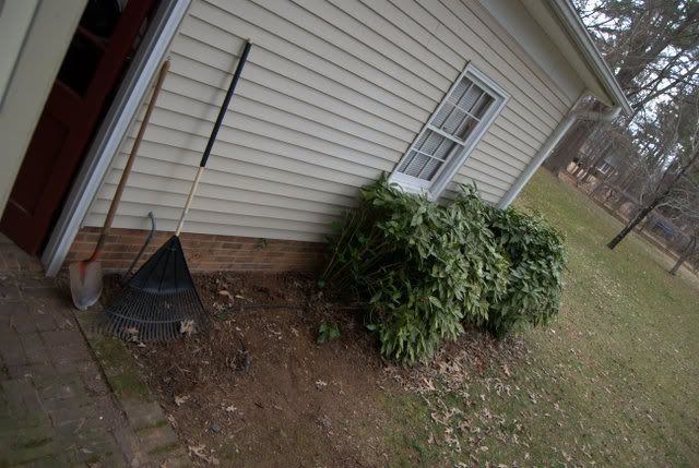 Landscaping