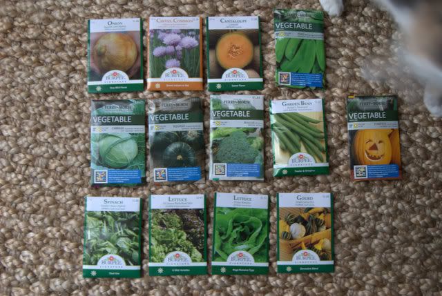 Seeds