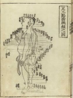 Os nomes chineses dos meridianos de acupuntura chinesa – parte I