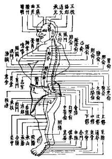 Acupunctura e Ciência – Parte III