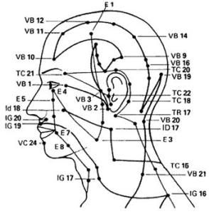 O Corpo e os Pontos de Acupunctura