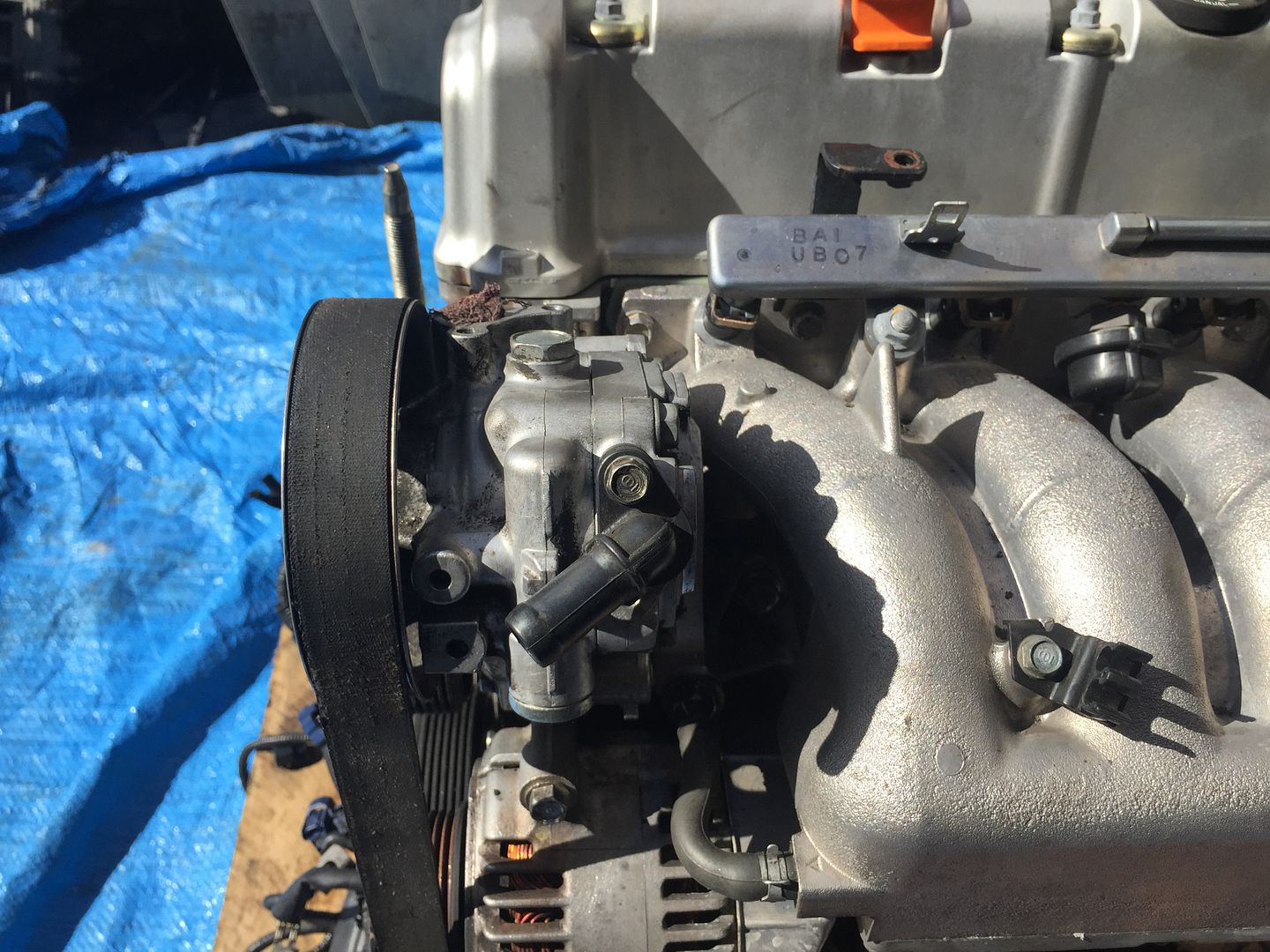 K20Z1 Full Swap & K24A2 Long Block Honda / Acura K20a K24a Engine Forum