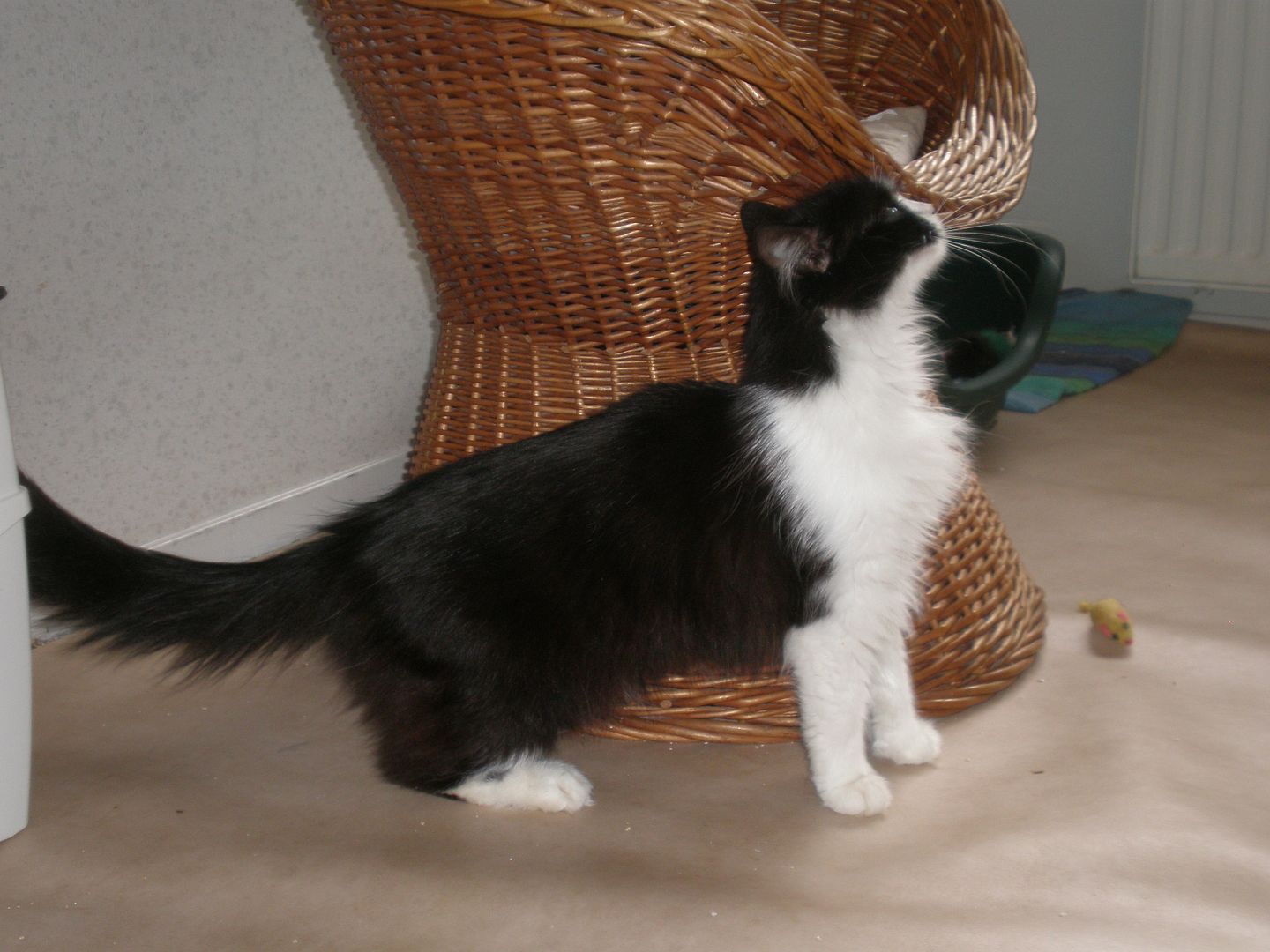 P1010777_zpsvavfueq1.jpg