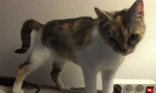 IMAG0109.jpg