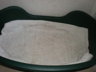 495bd288.jpg