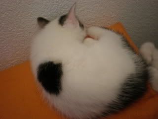 4b5b6f28.jpg