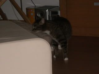 5a483a89.jpg