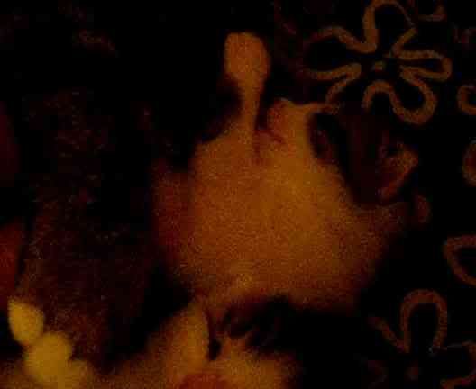 th_d51375c9.jpg
