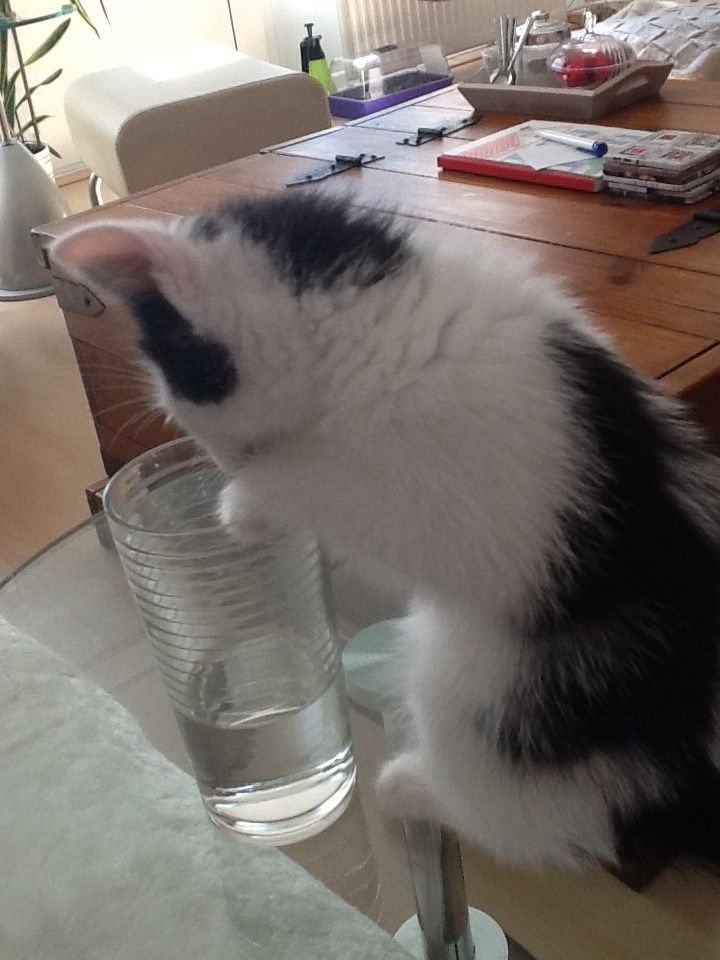 image.jpg5_zpsvnvpxaii.jpg