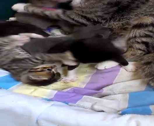 th_VIDEO0022_zpscf4f6830.jpg
