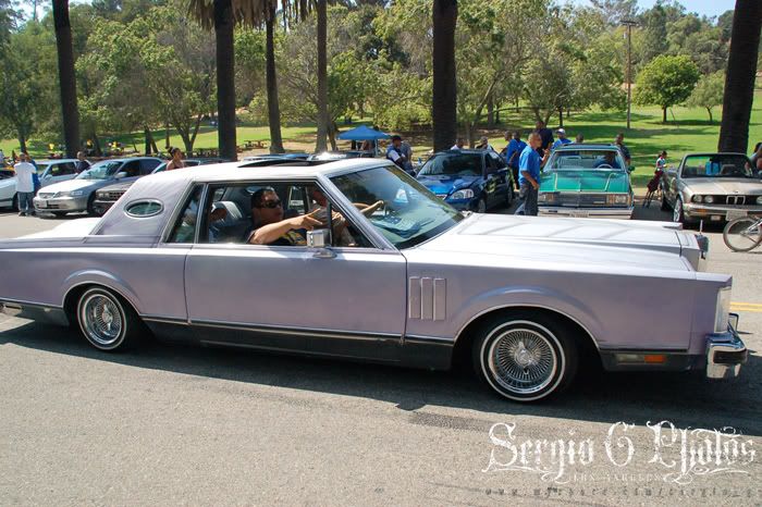 ME THE HOMIES CRUISING
