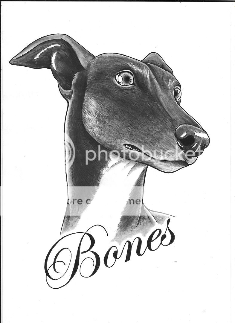 photo Bones the dog_zpsdikh8a5p.jpg